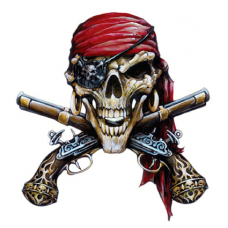 Наклейка  Pirate (Пират)